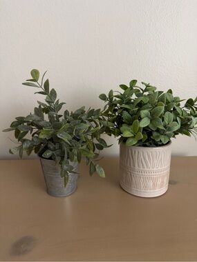 Set of Two Faux Greenery Plants in Small Pots